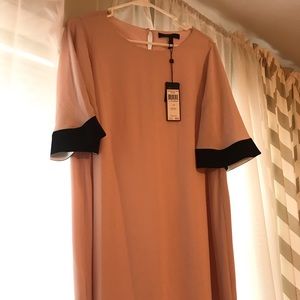 NWT - BCBG Maxazria Pink Chiffon Dress